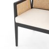 Raya Arm Chair - 6